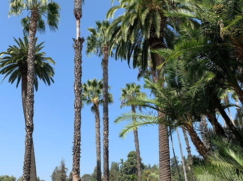 Lacy Park-圣玛利诺必去景点