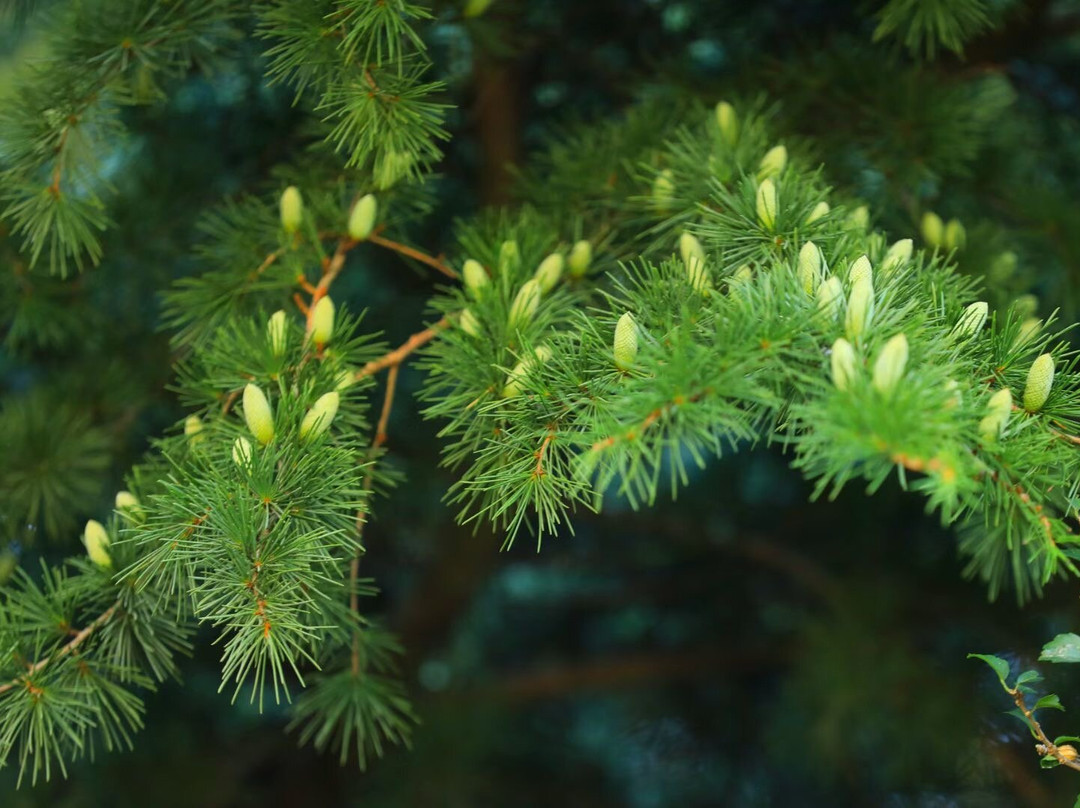 昆嵛山-烟台市必去景点