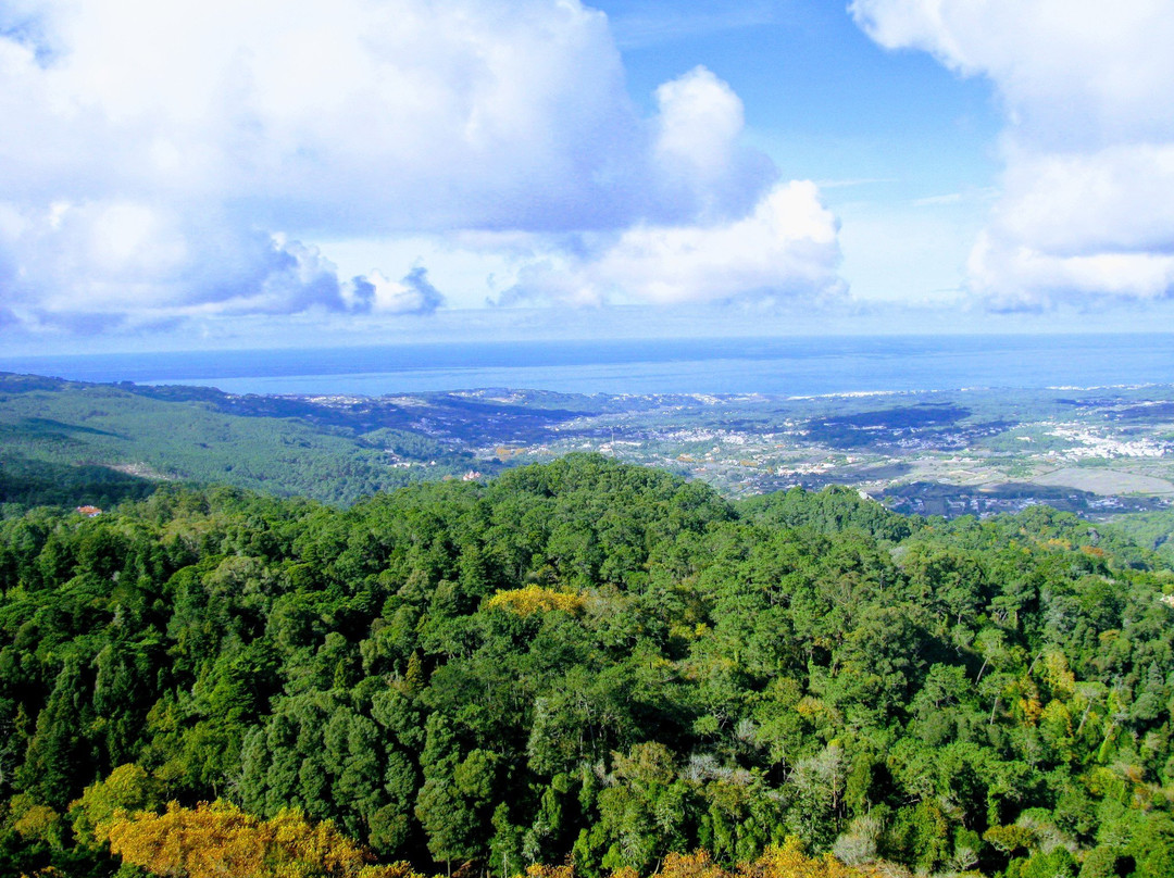 Sintra Mountains景点图片