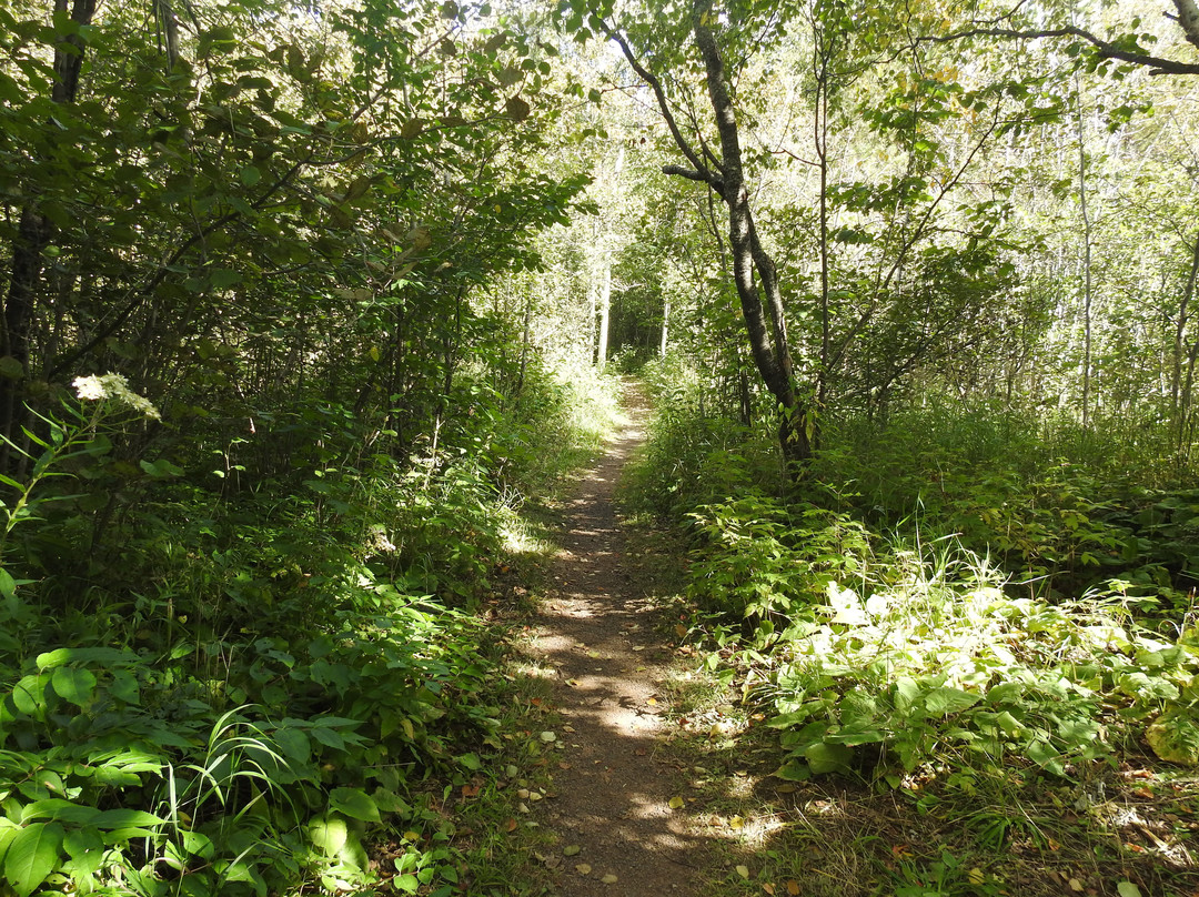 Sugarloaf Cove Nature Center-Schroeder必去景点