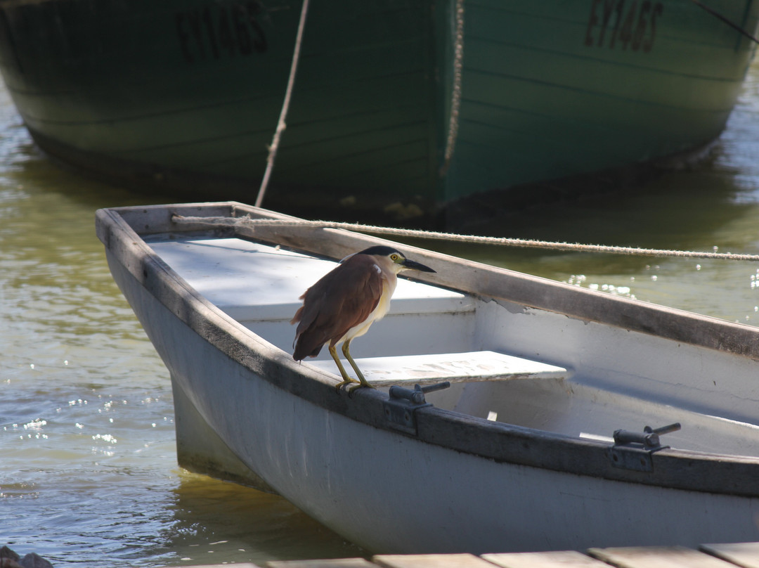 Boathouse - Birks River Retreat - Birks Harbour主图