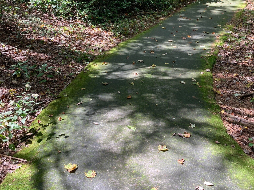 Cradle of Forestry-Pisgah Forest必去景点