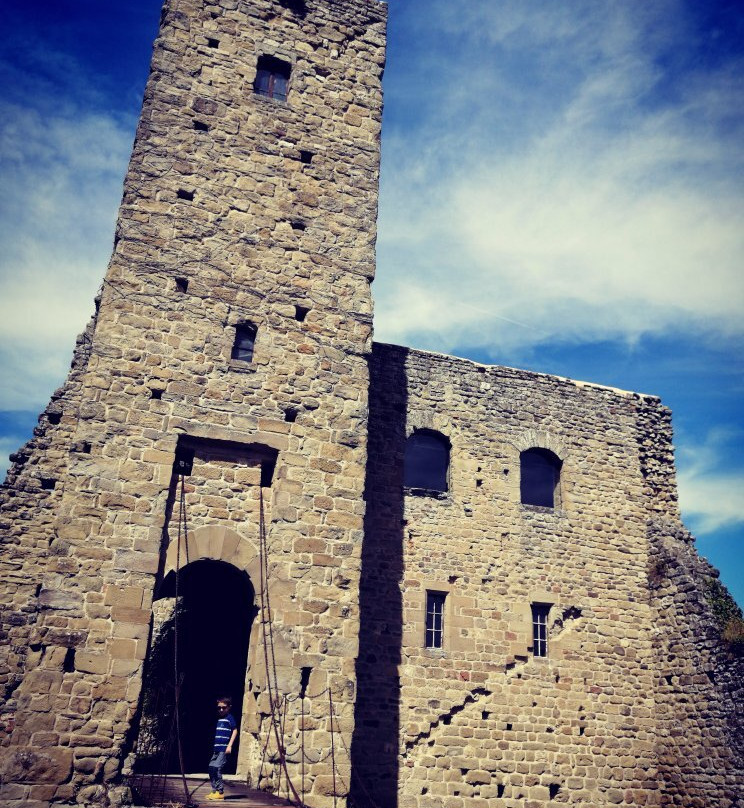 Castello di Romena景点图片