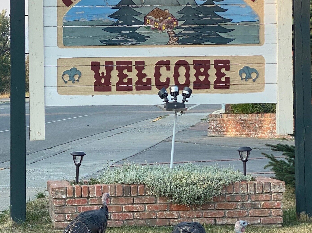 The Red Lodge Inn主图