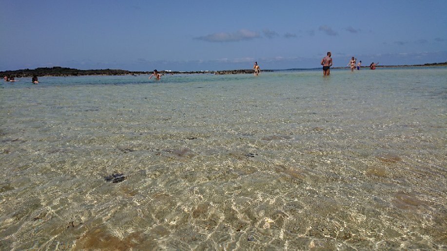 萨尔瓦多科蒂略海滩与泻湖景点图片