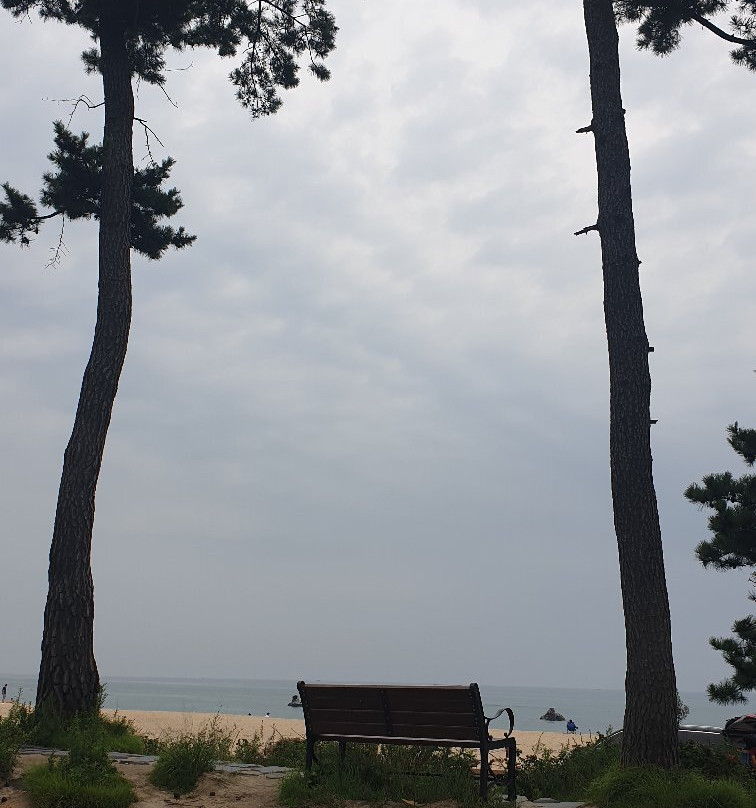 Anmok Beach-江陵市必去景点