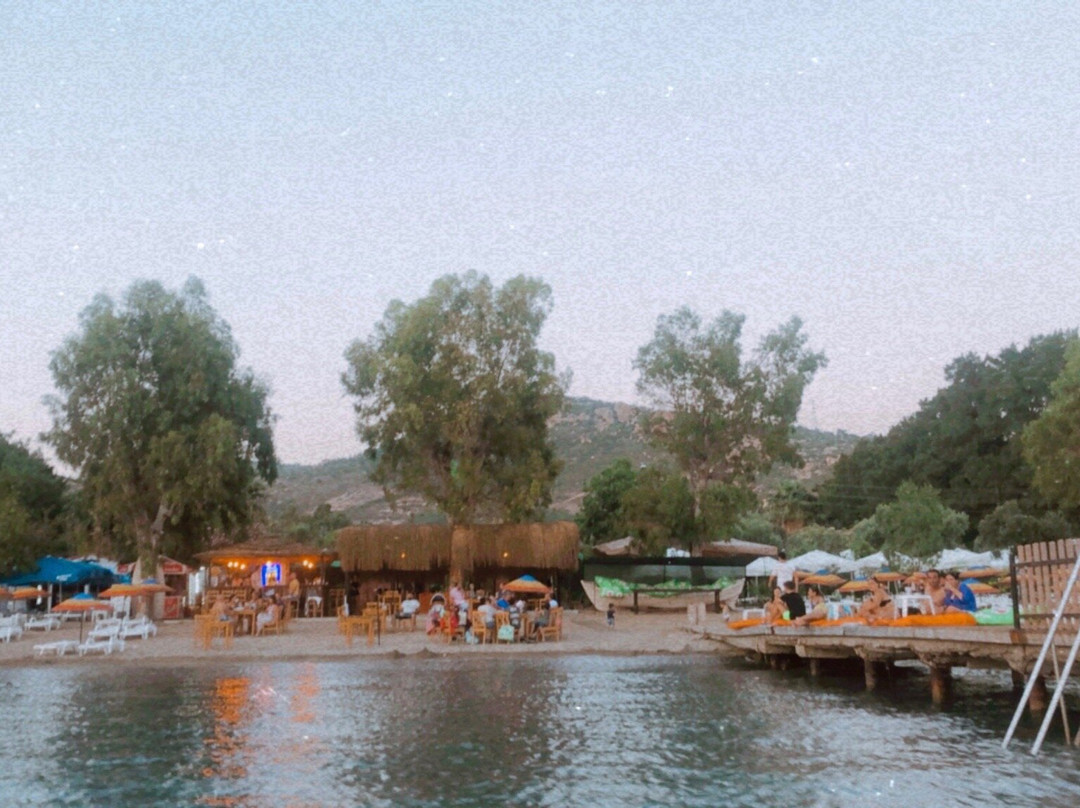 Voodoo Beach景点图片