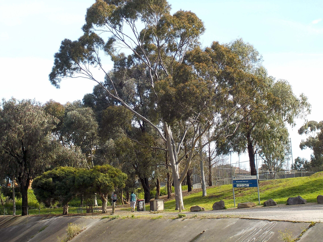 Holbrook Reserve景点图片