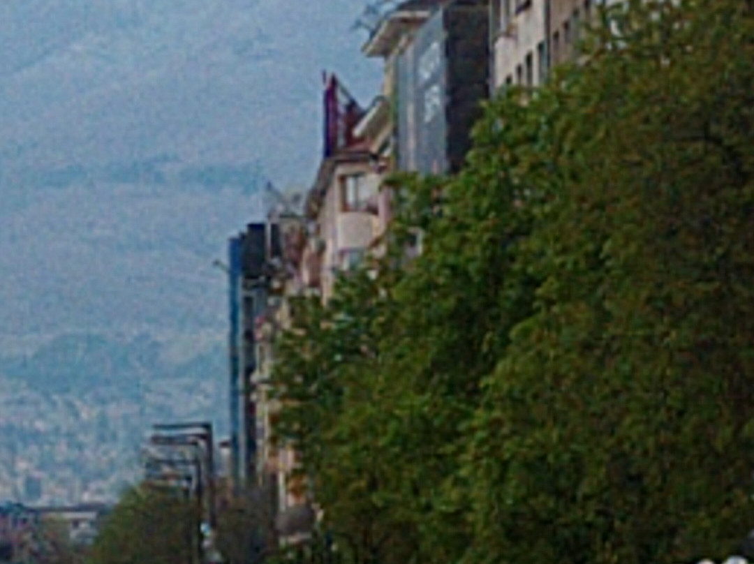 Vitosha Boulevard-索非亚必去景点