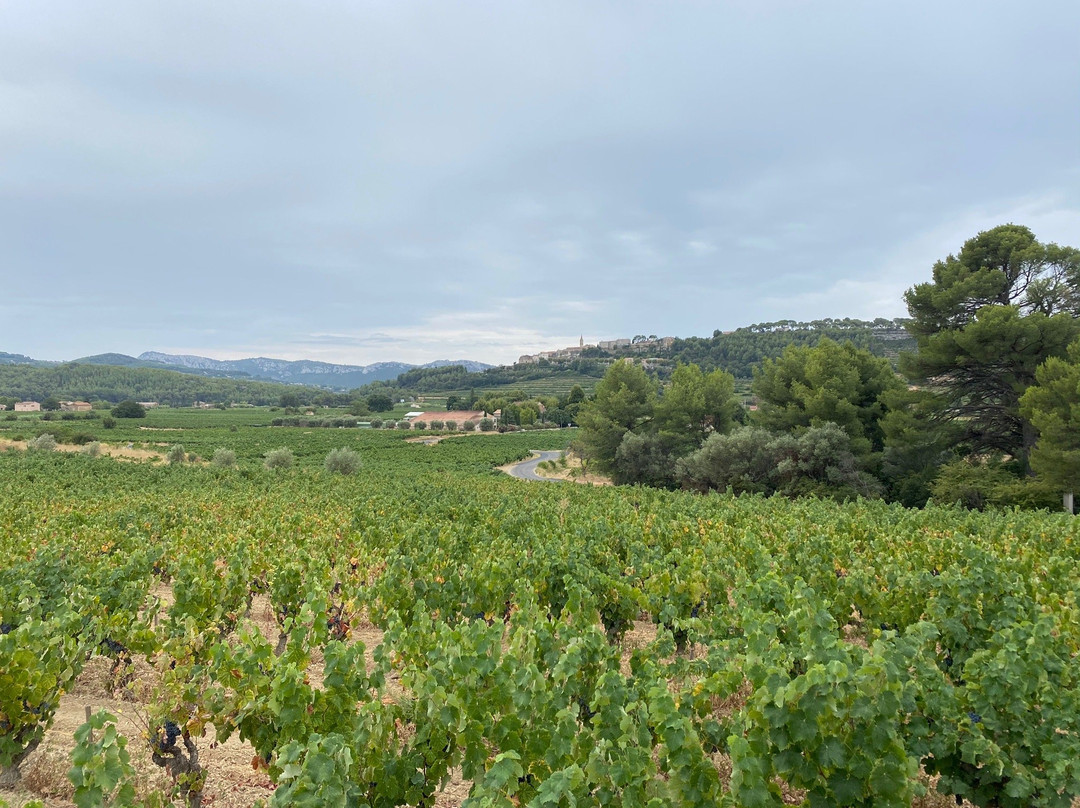 Domaine Lou Capelan-La Cadiere d'Azur必去景点