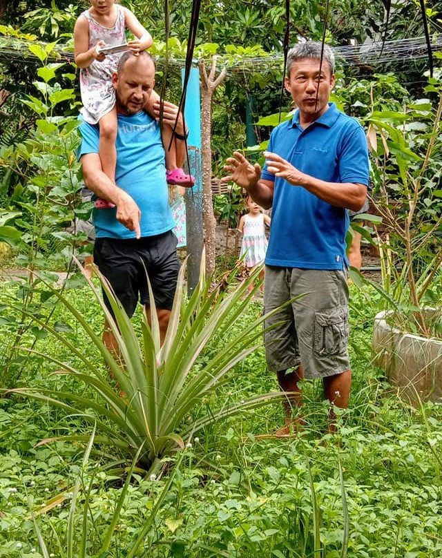 帕丽达花园度假村主图