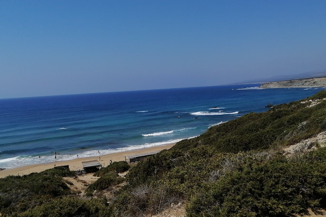 Lara Bay Turtle Conservation Station景点图片