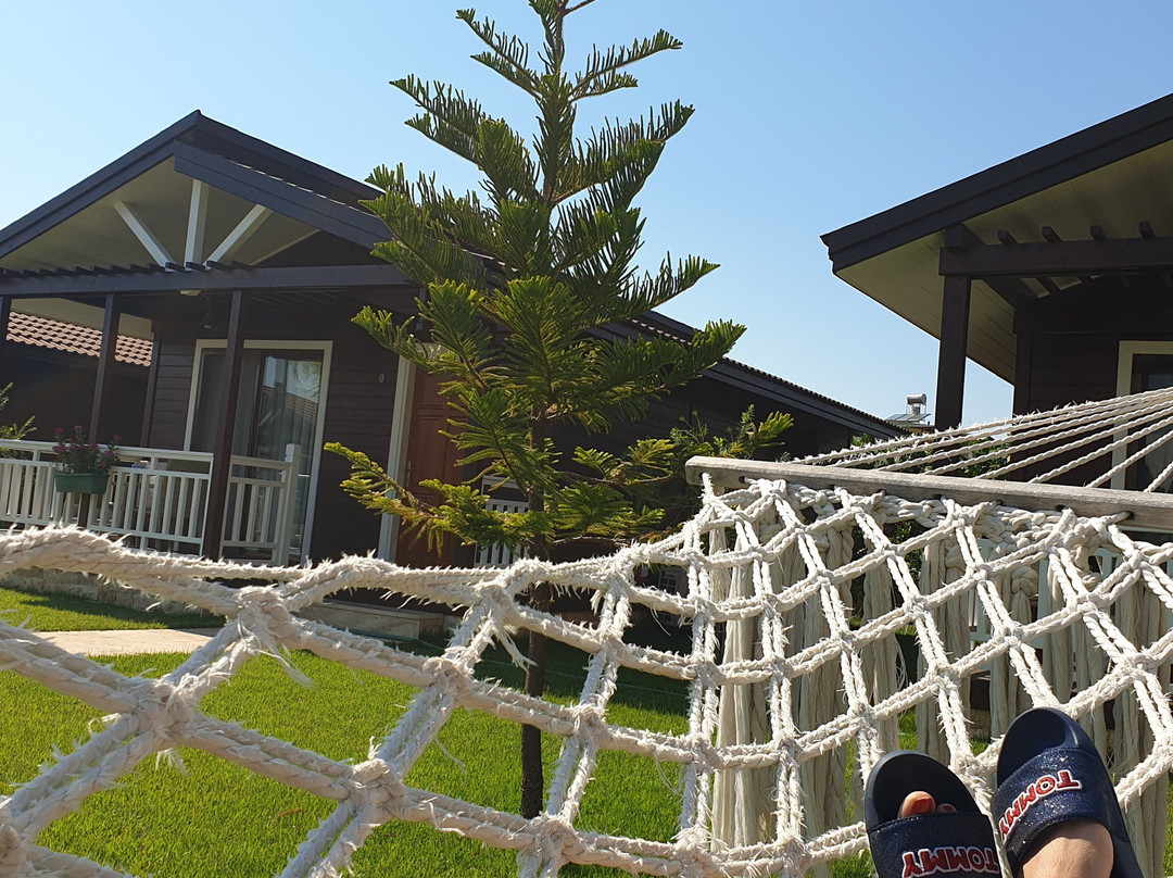 Sedir Park Bungalow Hotel主图