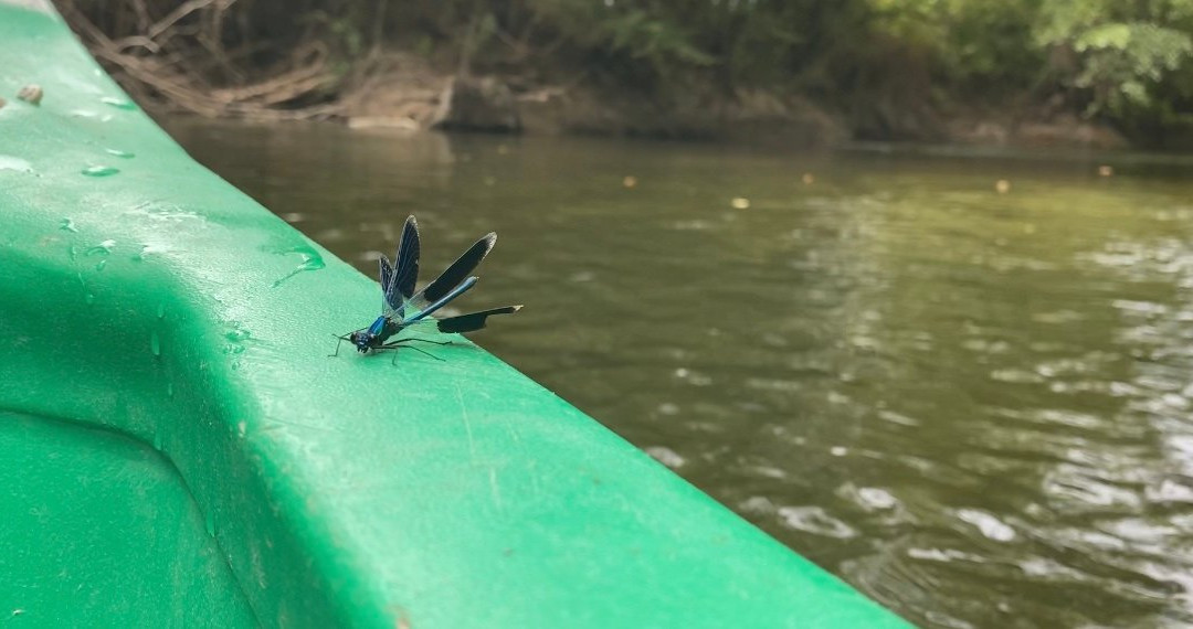 Canoe Kayak Aubeterre景点图片