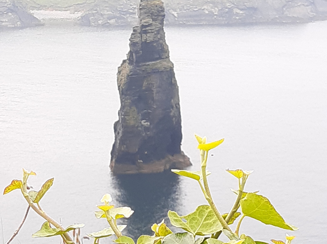 Bromore Cliffs-Ballybunion必去景点