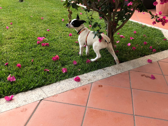 City Garden Guest House主图