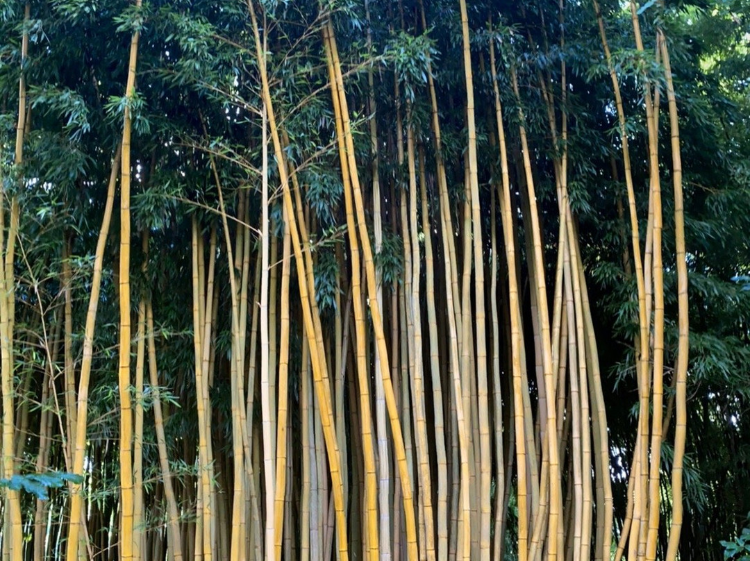 Le Jardin de Planbuisson景点图片