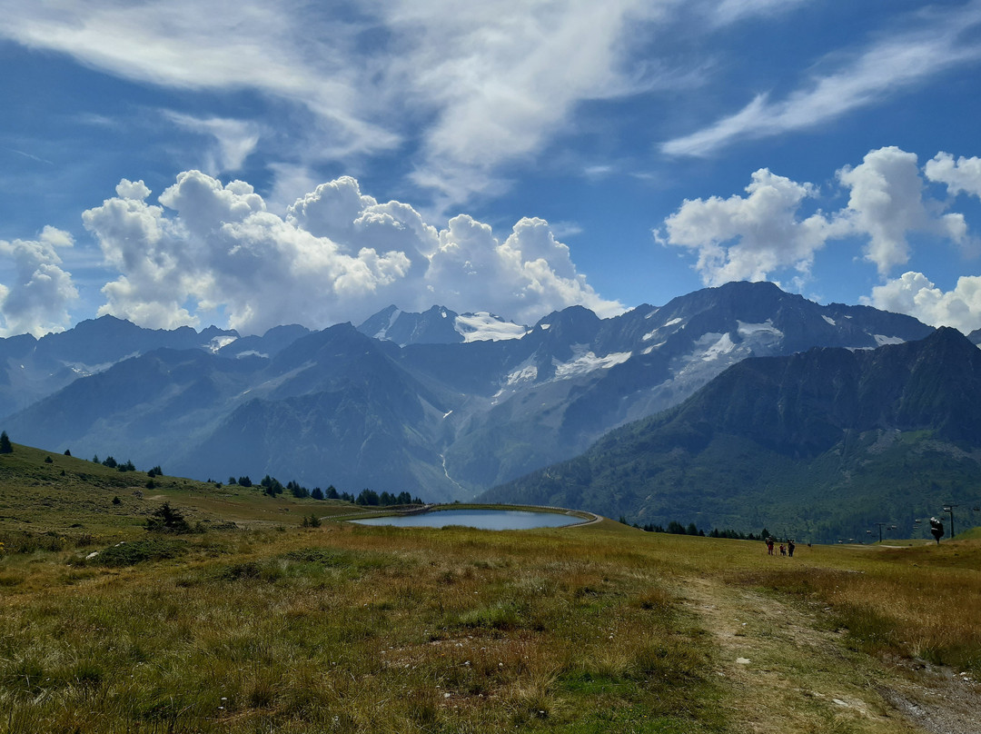 Alpine Marmot Village景点图片
