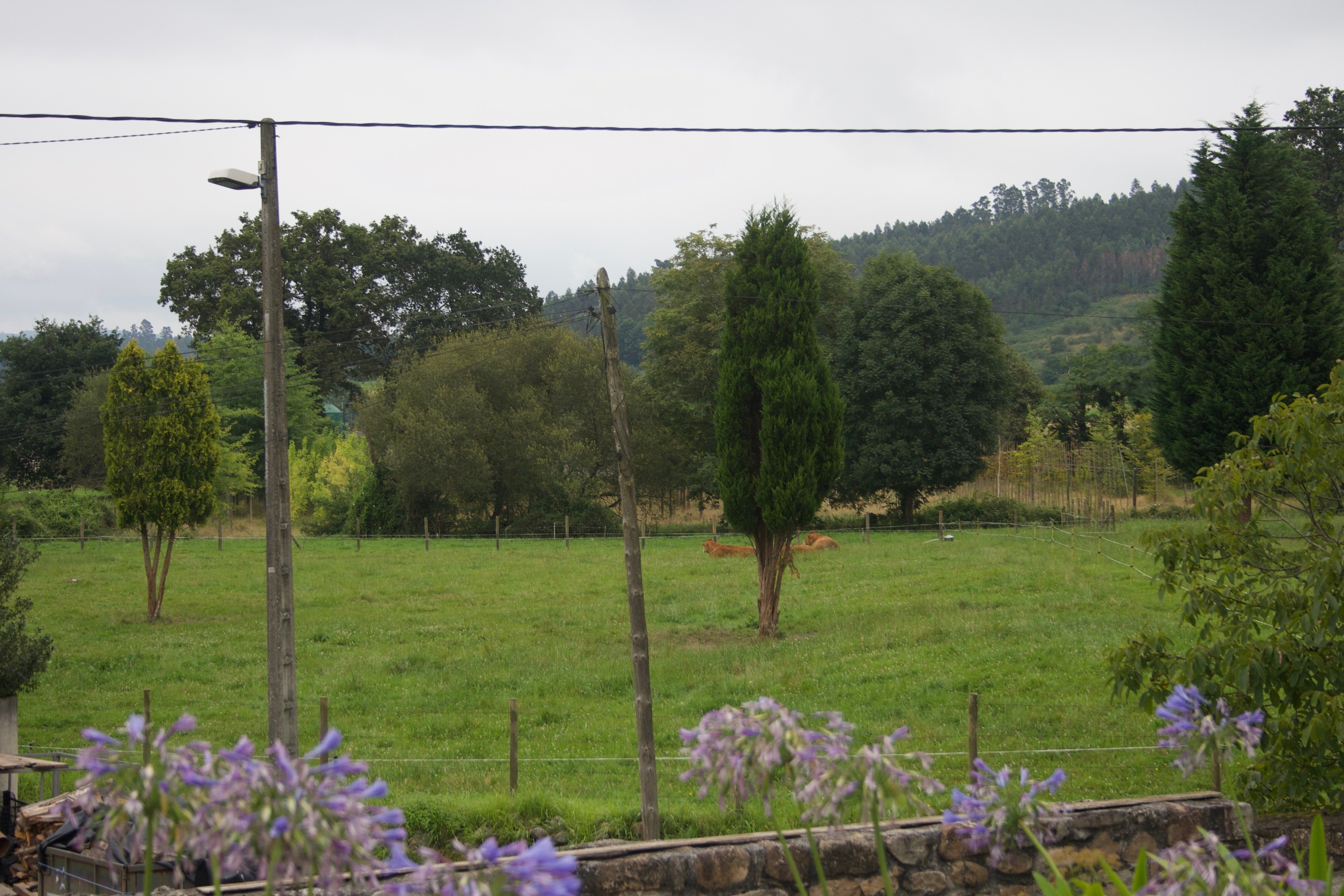 Posada Rural La Socarrena-酒店景观