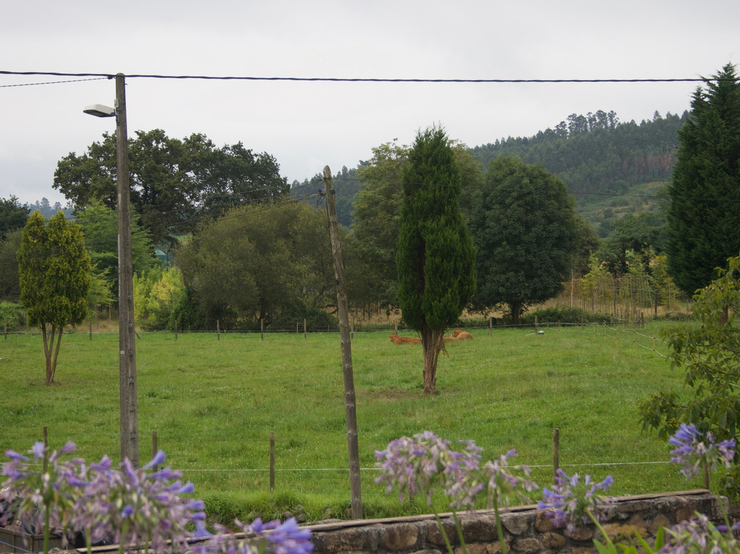 Posada Rural La Socarrena主图