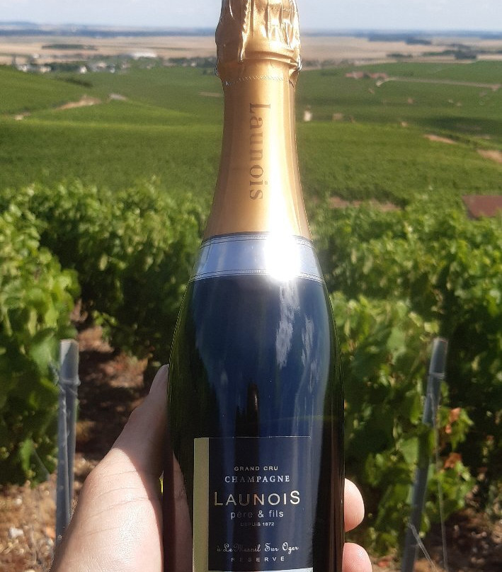 Champagne Launois景点图片