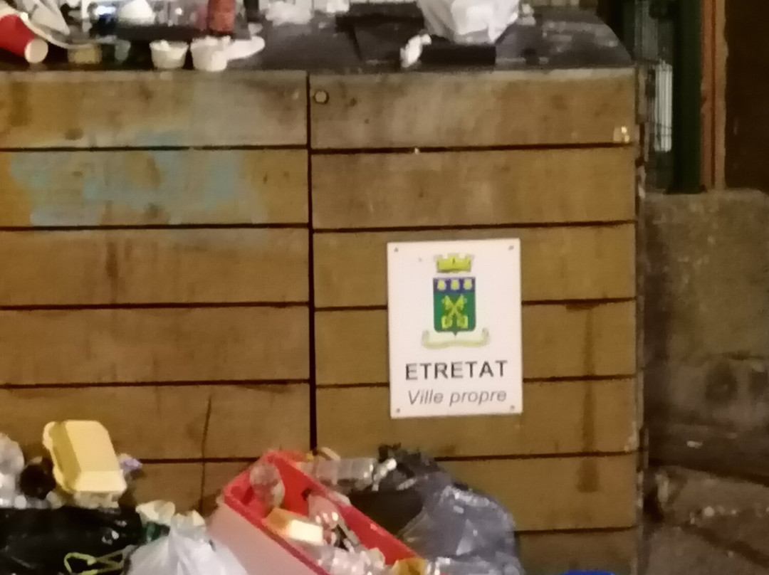 Les Plages Etretat景点图片