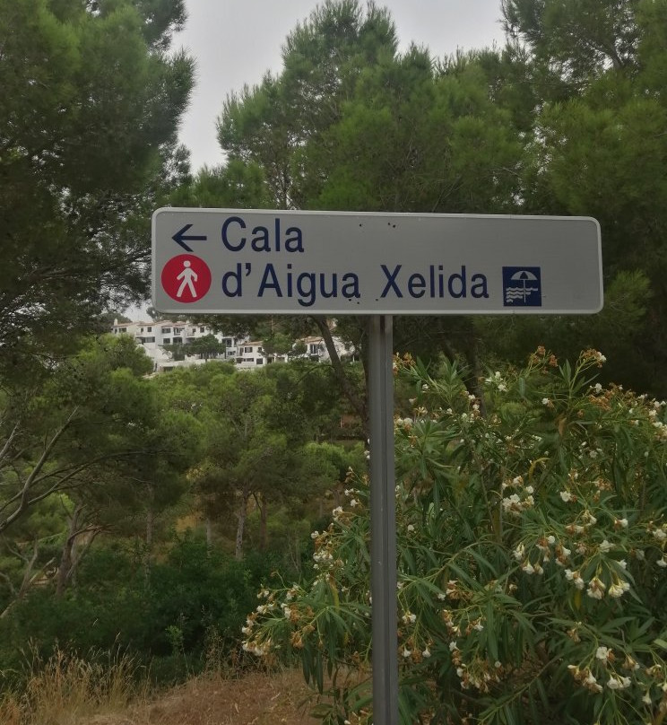 Aigua Xelida景点图片