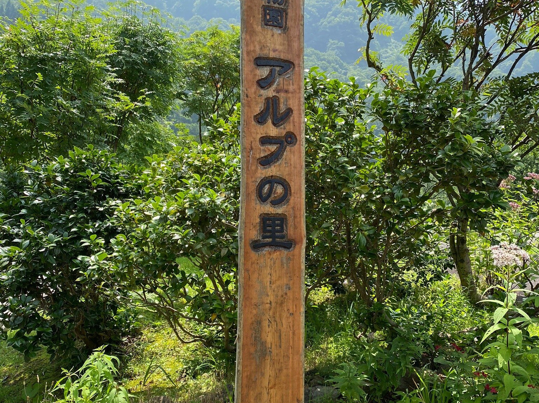 Yuzawa Highland Alpine Garden景点图片