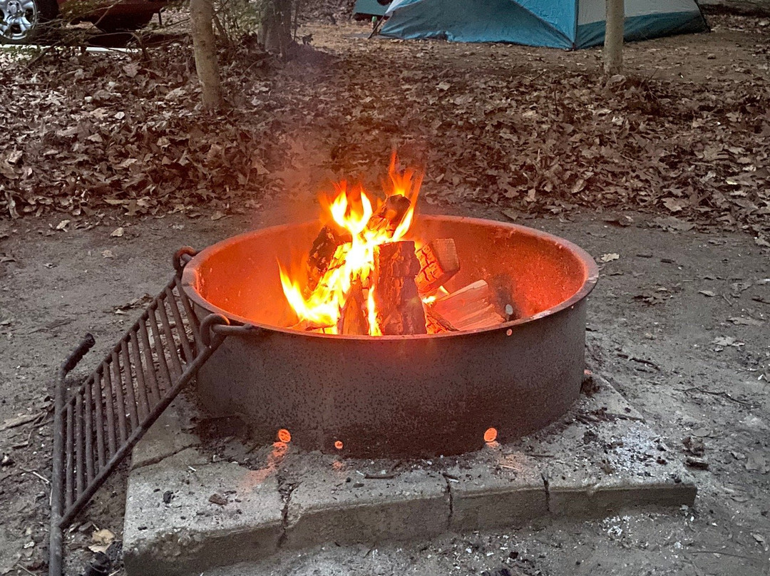 Killens Pond State Park-Felton必去景点