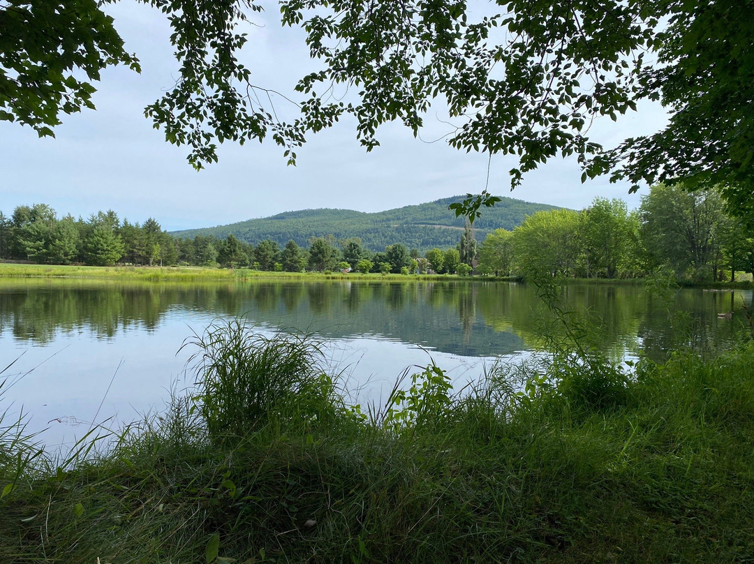 Gîte de la Maison Blanche主图