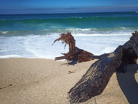 Praia Do Palheirão景点图片