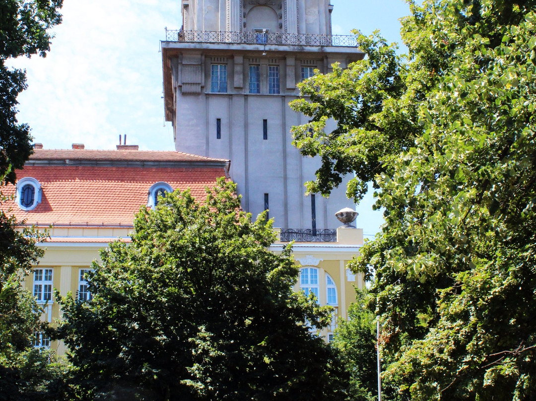 Ana Guesthouse主图