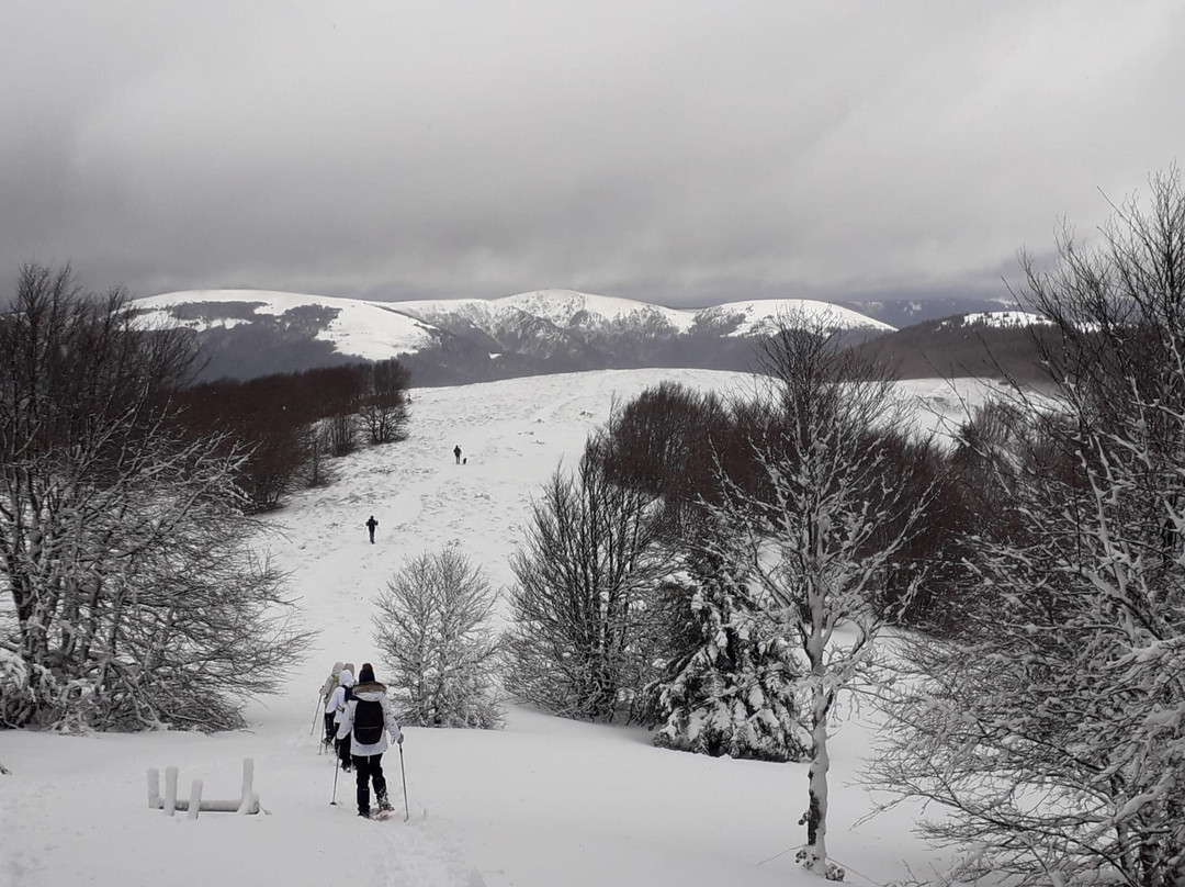 Ferme du Grand Hetre主图