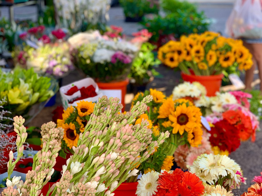 Son Serra de Marina Beach-Son Serra de Marina必去景点
