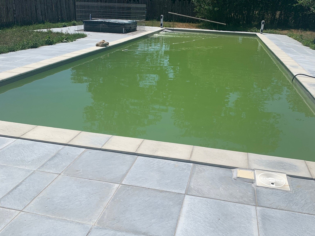 Chambres D'Hôtes Du Domaine De La Loge主图