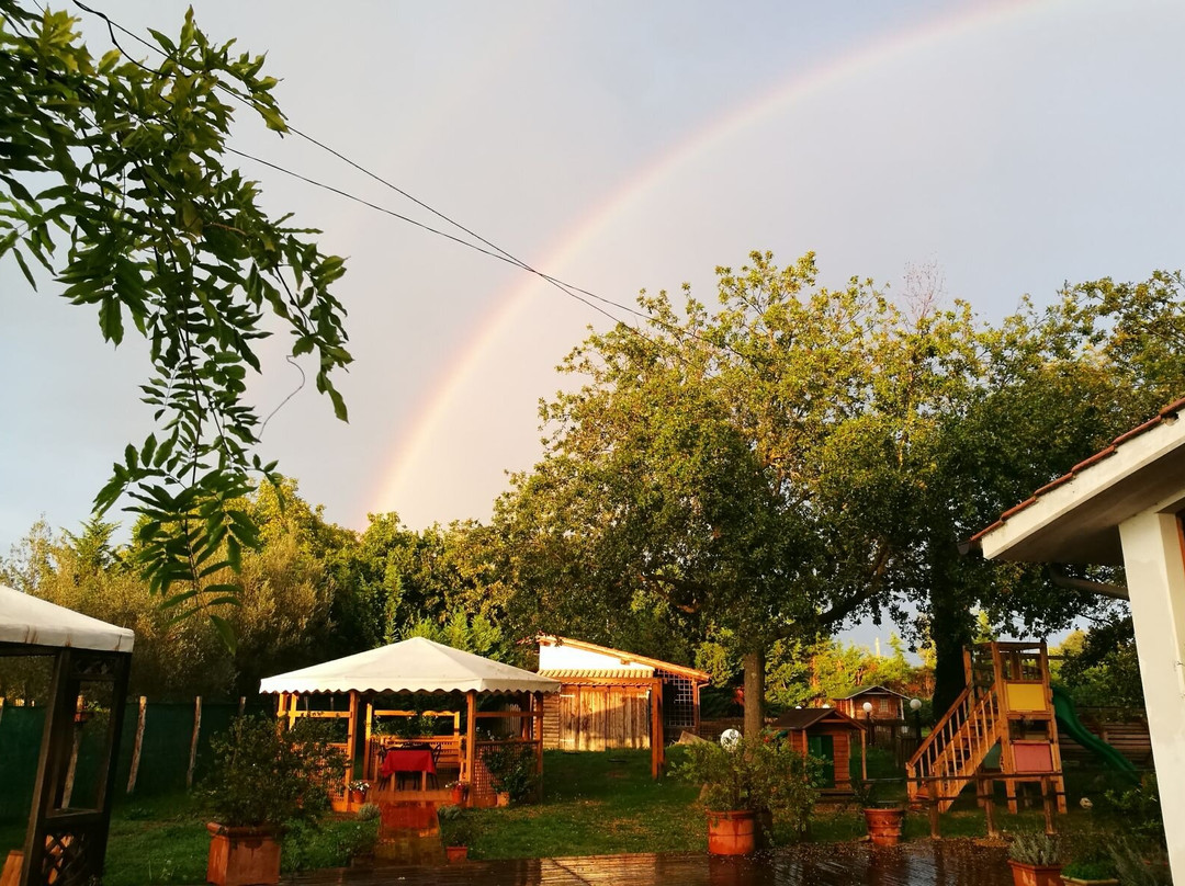 Agriturismo L'Introvabile