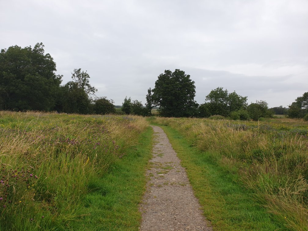 Staveley Nature Reserve景点图片