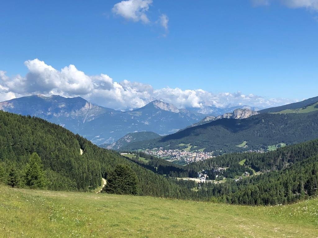 Giardino Botanico di Passo Coe - Fondazione Museo Civico di Rovereto景点图片