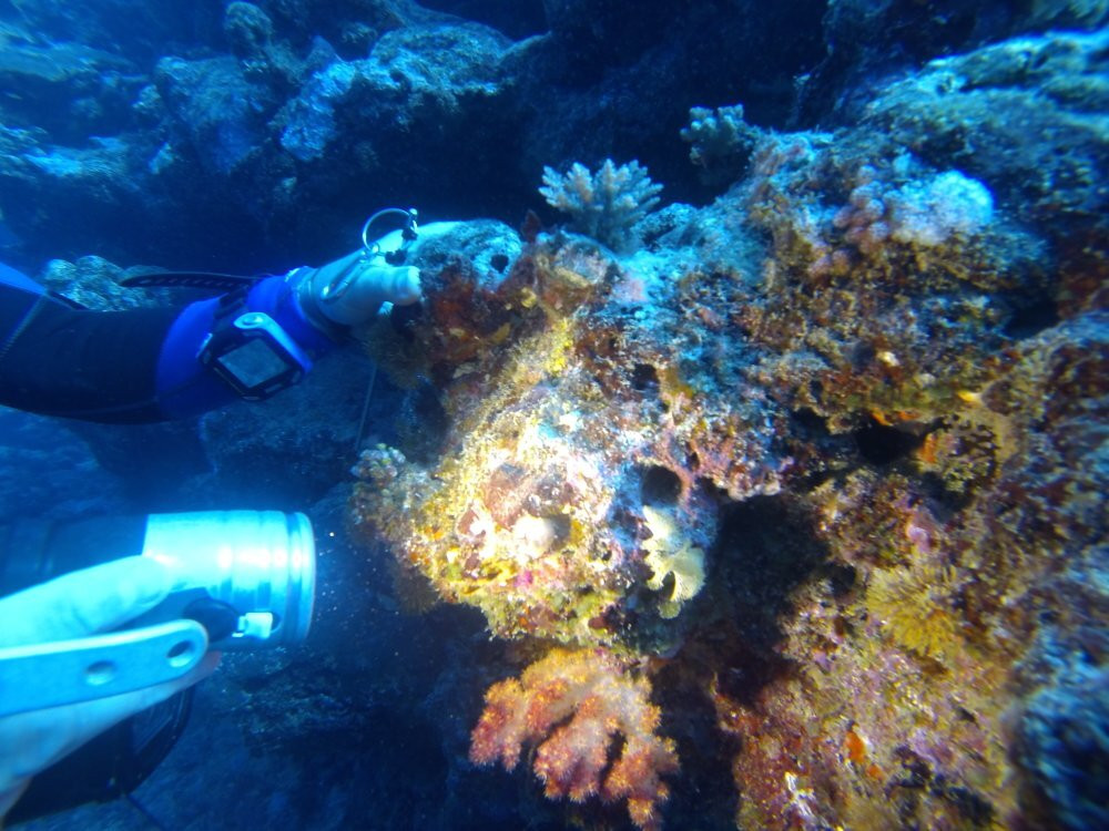 Tieti Diving-Poindimie必去景点