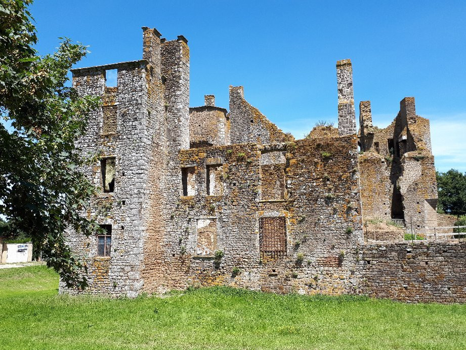 Château du Bois Thibault景点图片