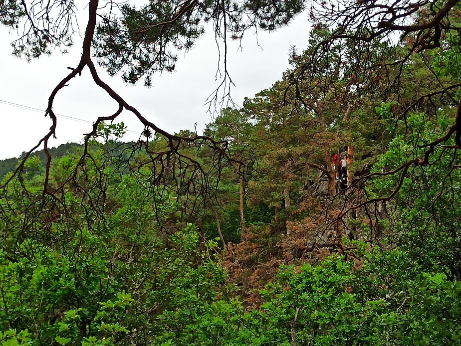 Saint Nectaire Aventures-Saint-Nectaire必去景点