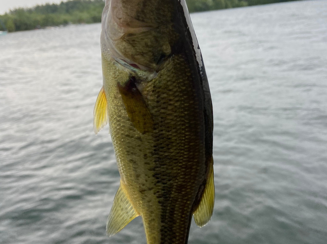 Chelka Lodge on Lake George主图
