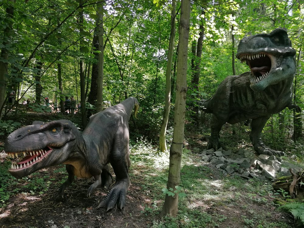 DinoPark Zoo Vyskov-Vyskov必去景点