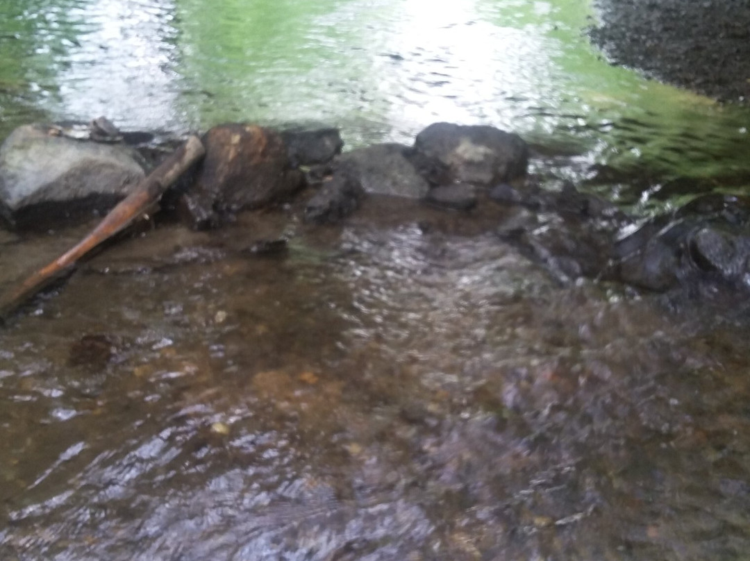 Albion Hills Conservation Park-卡利登必去景点