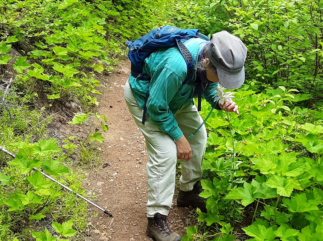Lemolo Falls-罗斯堡必去景点