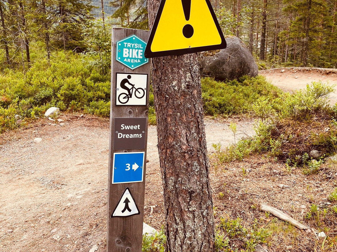 Trysil Bike Arena景点图片