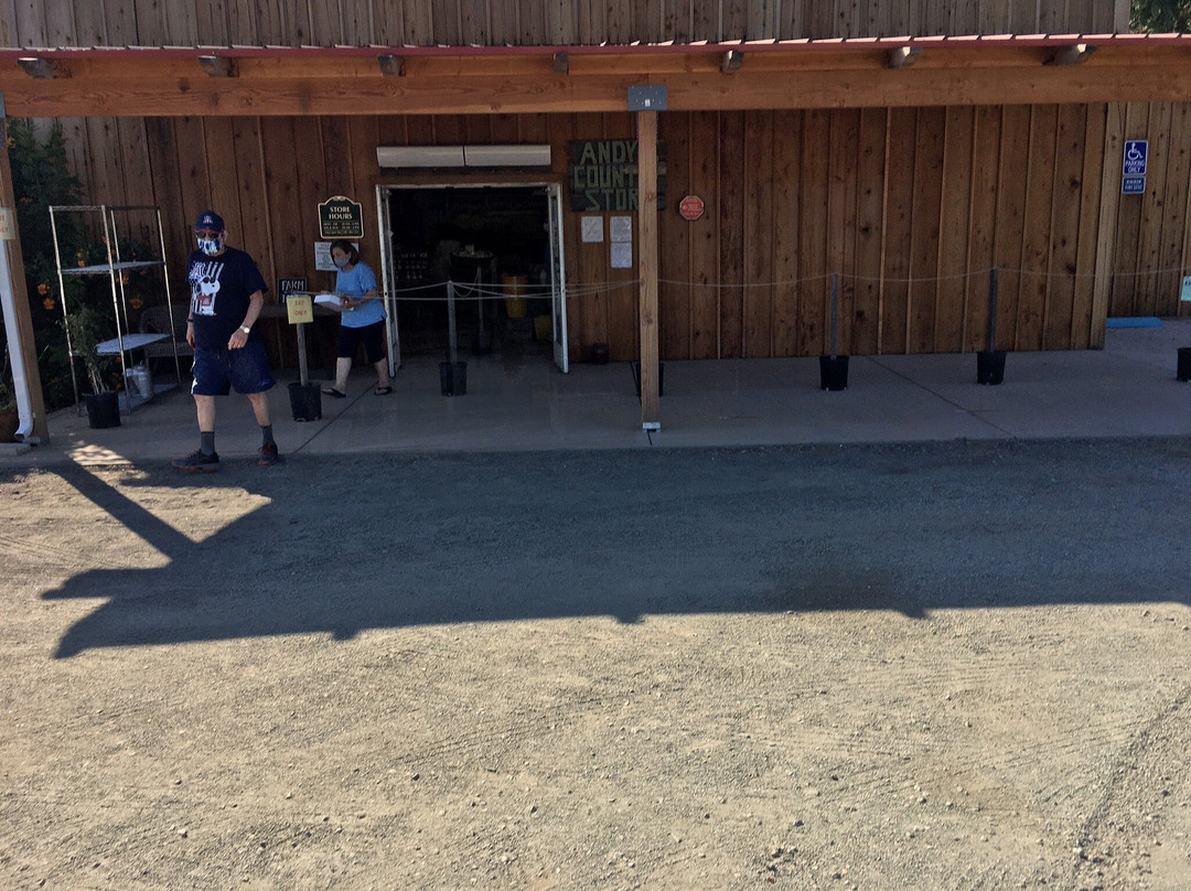 Andy's Orchard-摩根希尔必去景点