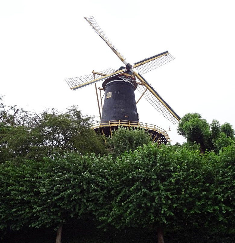 Molen de Windhond-Woerden必去景点