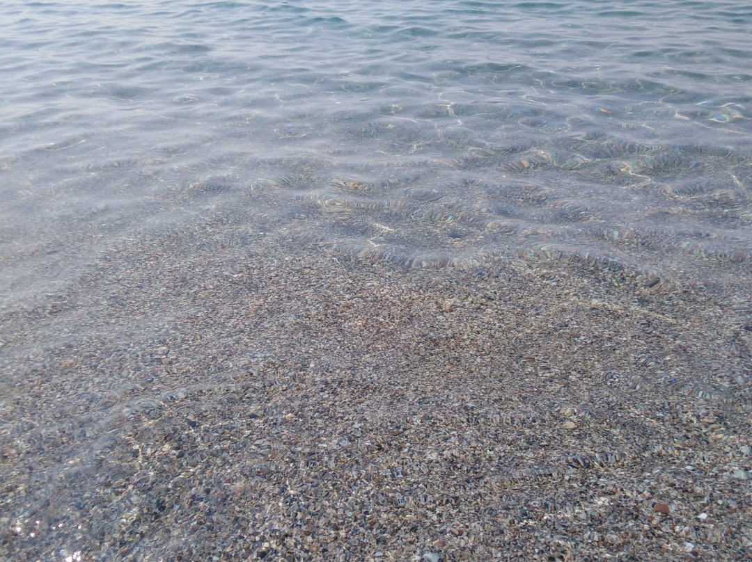 Bello Horizonte Rooms & Apartments主图