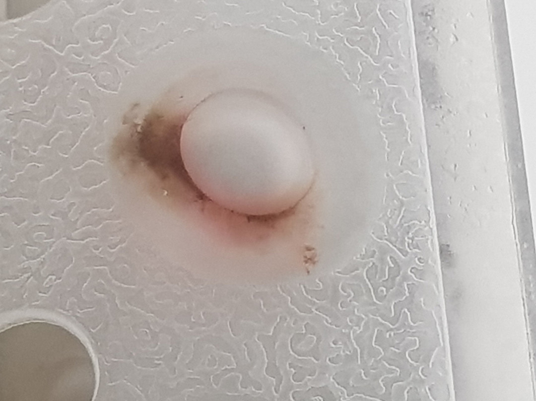 陶波海湾主图
